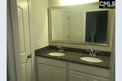 1403 Tamarind Lane, Chapin, SC 29036 - Photo 15