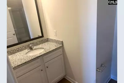145 Silver Run Place, West Columbia, SC 29169 - Photo 13