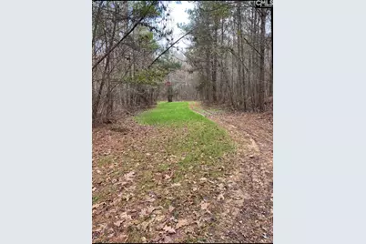 1579 Rockton Thruway Road, Winnsboro, SC 29180 - Photo 59