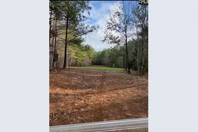 1579 Rockton Thruway Road, Winnsboro, SC 29180 - Photo 57