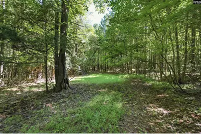 1579 Rockton Thruway Road, Winnsboro, SC 29180 - Photo 31