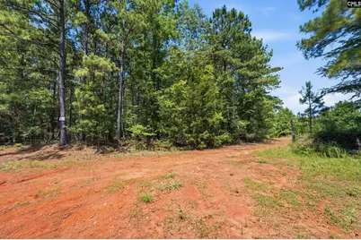 1579 Rockton Thruway Road, Winnsboro, SC 29180 - Photo 39