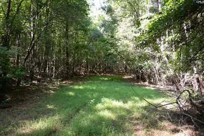 1579 Rockton Thruway Road, Winnsboro, SC 29180 - Photo 45