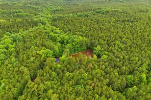 1579 Rockton Thruway Rd, Winnsboro, SC 29180 - Photo 43