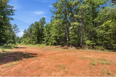 1579 Rockton Thruway Road, Winnsboro, SC 29180 - Photo 39