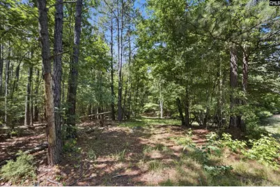 1579 Rockton Thruway Road, Winnsboro, SC 29180 - Photo 45