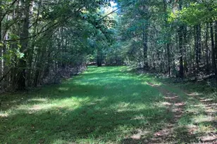 1579 Rockton Thruway Rd, Winnsboro, SC 29180 - Photo 59