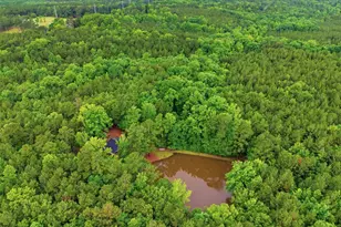 1579 Rockton Thruway Rd, Winnsboro, SC 29180 - Photo 41
