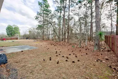 1908 Lake Carolina Drive, Columbia, SC 29229 - Photo 35