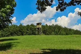 3296 Flat Rock Rd, Westville, SC 29067 - Photo 59