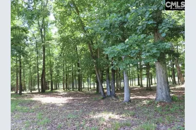 3296 Flat Rock Road, Westville, SC 29067 - Photo 19