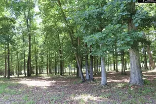 3296 Flat Rock Rd, Westville, SC 29067 - Photo 19