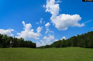 3296 Flat Rock Rd, Westville, SC 29067 - Photo 35