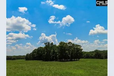 3296 Flat Rock Road, Westville, SC 29067 - Photo 5
