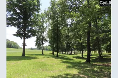 3296 Flat Rock Road, Westville, SC 29067 - Photo 25