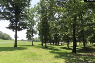3296 Flat Rock Rd, Westville, SC 29067 - Photo 25