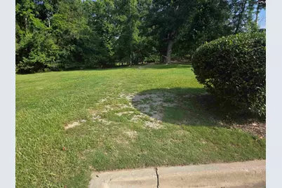 216 Faskin Lane, Lexington, SC 29072 - Photo 59