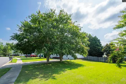 216 Faskin Lane, Lexington, SC 29072 - Photo 7