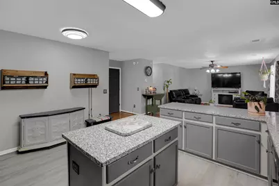 119 Silverberry Drive, Lexington, SC 29073 - Photo 5
