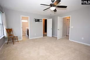 159 Whispering Oak Ln, Chapin, SC 29036 - Photo 25