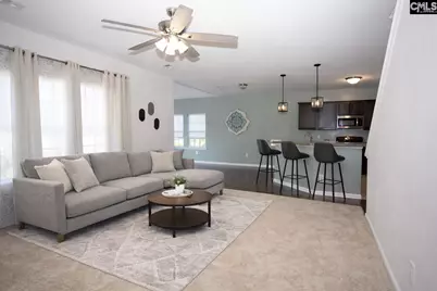 159 Whispering Oak Lane, Chapin, SC 29036 - Photo 19