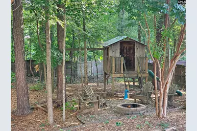 358 Bronze Drive, Lexington, SC 29072 - Photo 47
