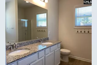 712 Spring Cress Drive, Lexington, SC 29073 - Photo 13