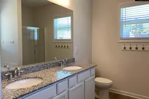 712 Spring Cress Dr, Lexington, SC 29073 - Photo 13
