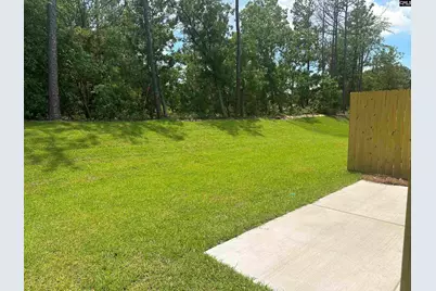 226 Flatsedge Court, Lexington, SC 29072 - Photo 31