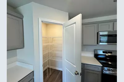520 Corkscrew Lane, Blythewood, SC 29016 - Photo 5