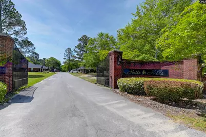 107 Hutto Hills Lane, Gilbert, SC 29054 - Photo 3