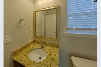 234 Nicene Court, West Columbia, SC 29170 - Photo 15