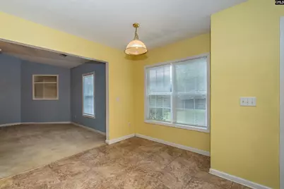 309 Cutter Court, Chapin, SC 29036 - Photo 11