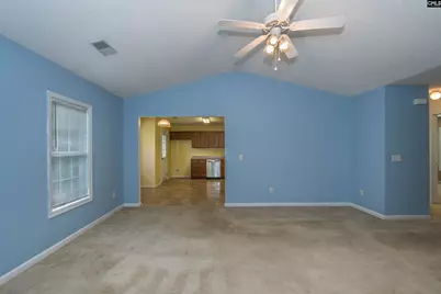309 Cutter Court, Chapin, SC 29036 - Photo 7