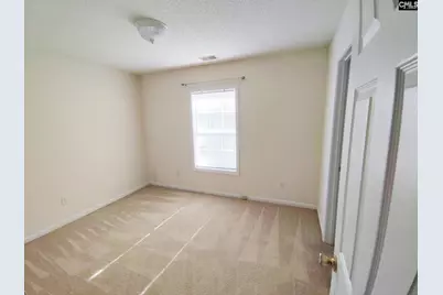 309 Cutter Court, Chapin, SC 29036 - Photo 11