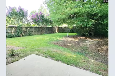 309 Cutter Court, Chapin, SC 29036 - Photo 15