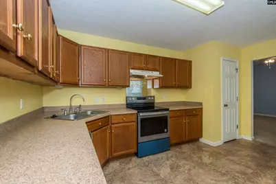 309 Cutter Court, Chapin, SC 29036 - Photo 13