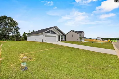 172 Calm Citadel Drive, Pelion, SC 29123 - Photo 3
