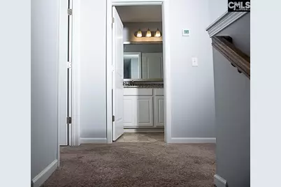 220 Liberty Ridge, Elgin, SC 29045 - Photo 51