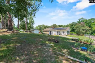 203 Luther Rd, Columbia, SC 29210 - Photo 33