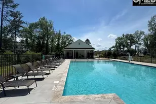 715 Topline St, Chapin, SC 29036 - Photo 43