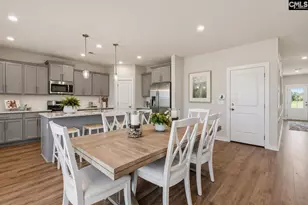 715 Topline St, Chapin, SC 29036 - Photo 11