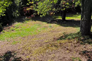 219 Paula Ct, Gaston, SC 29053 - Photo 17