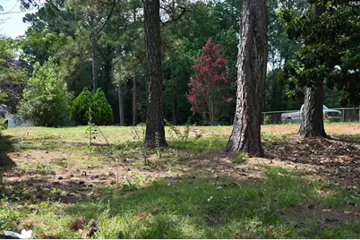 1104 Flamingo Drive, Columbia, SC 29203 - Photo 3