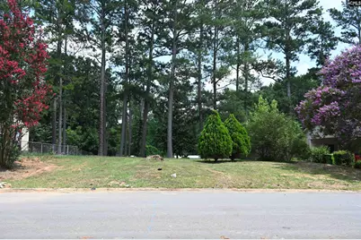 1104 Flamingo Drive, Columbia, SC 29203 - Photo 1