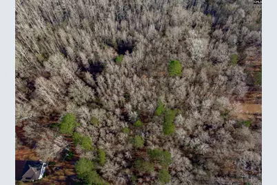 1641 Joe Collins Rd, Eastover, SC 29044 - Photo 5