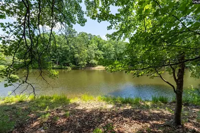 204 Ashley Oaks Drive, Blythewood, SC 29016 - Photo 9