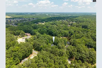 204 Ashley Oaks Drive, Blythewood, SC 29016 - Photo 47