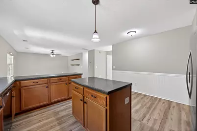 224 Walkbridge Way, Chapin, SC 29036 - Photo 11