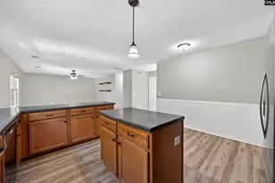 224 Walkbridge Way, Chapin, SC 29036 - Photo 11